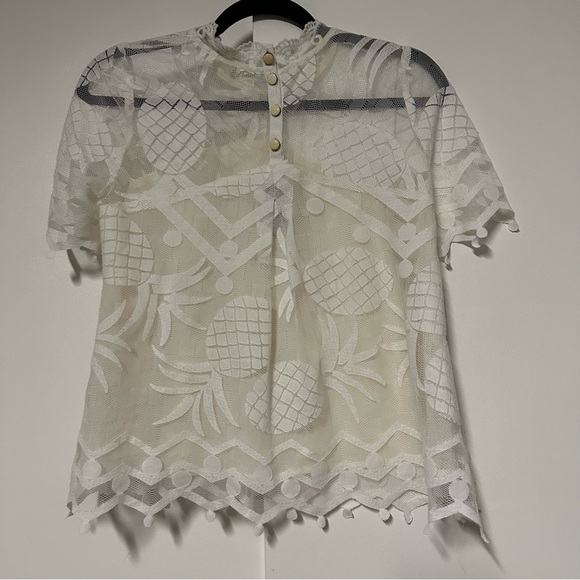 Anthropologie HD in Paris Ivory Lace Pineapple Sheer with Lining Pina Top 2P - Picture 9 of 9